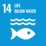 United Nations sustainable development goal number 14 - life below water
