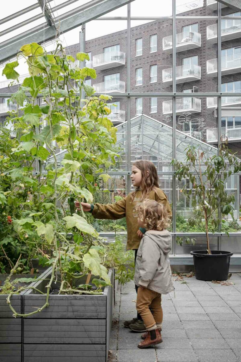 Children in a greenhouse in the district Grønttorvet in Copenhagen