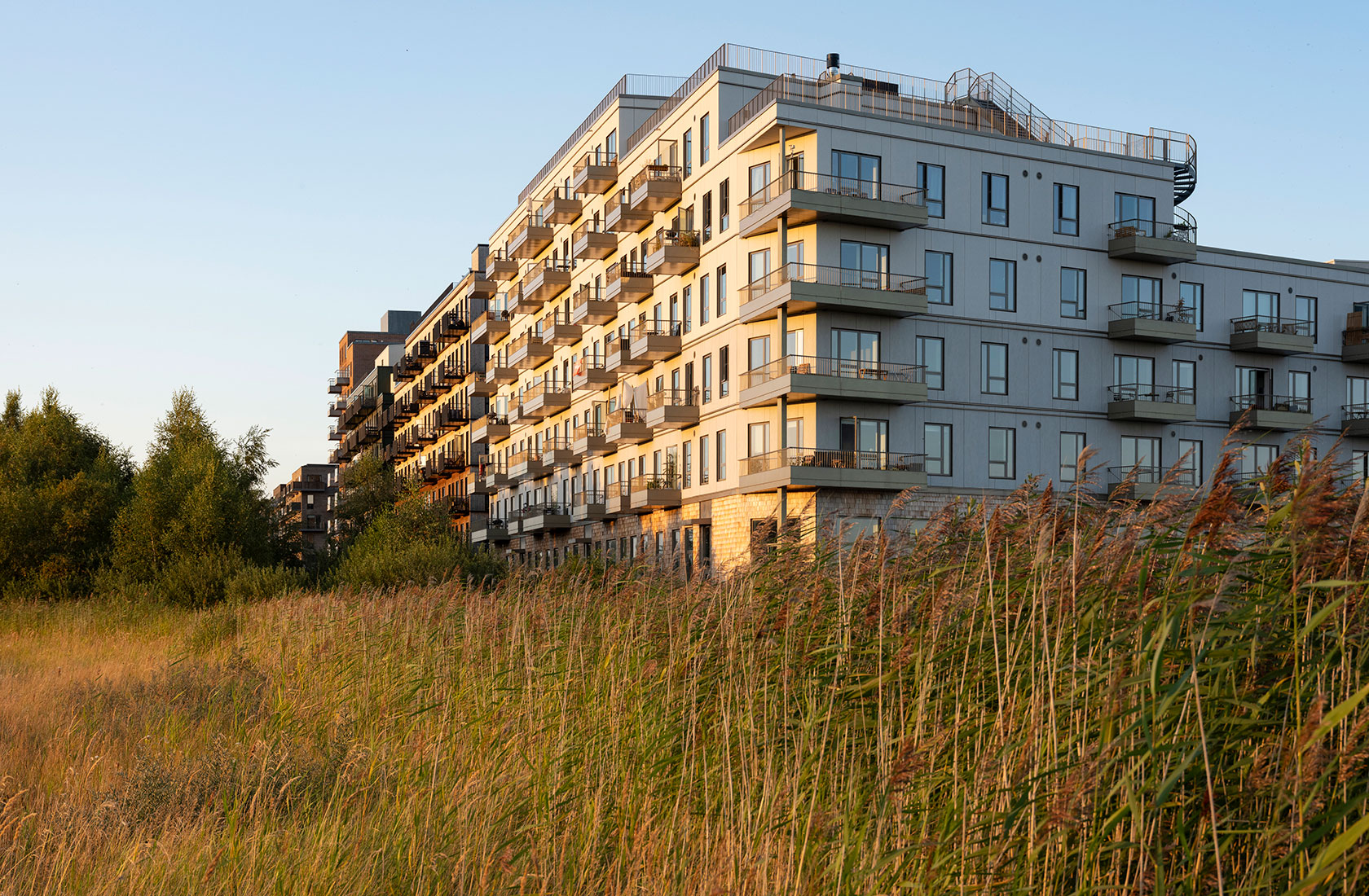 Modern apartment building with balconies, surrounded by tall grass and trees in the foreground.