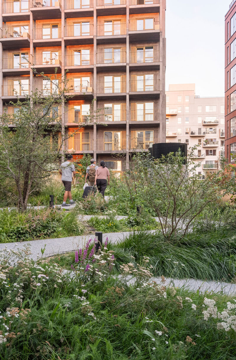 Urban garden with people walking, surrounded by modern apartment buildings in the background.