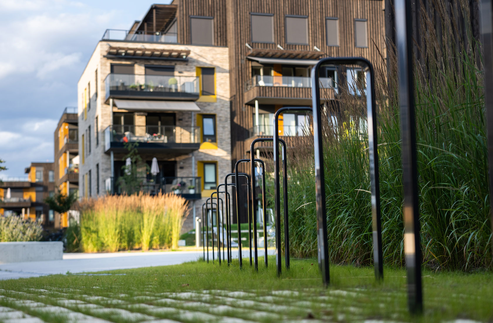 Bicycle stand and high grass in front of a residential building in brown.