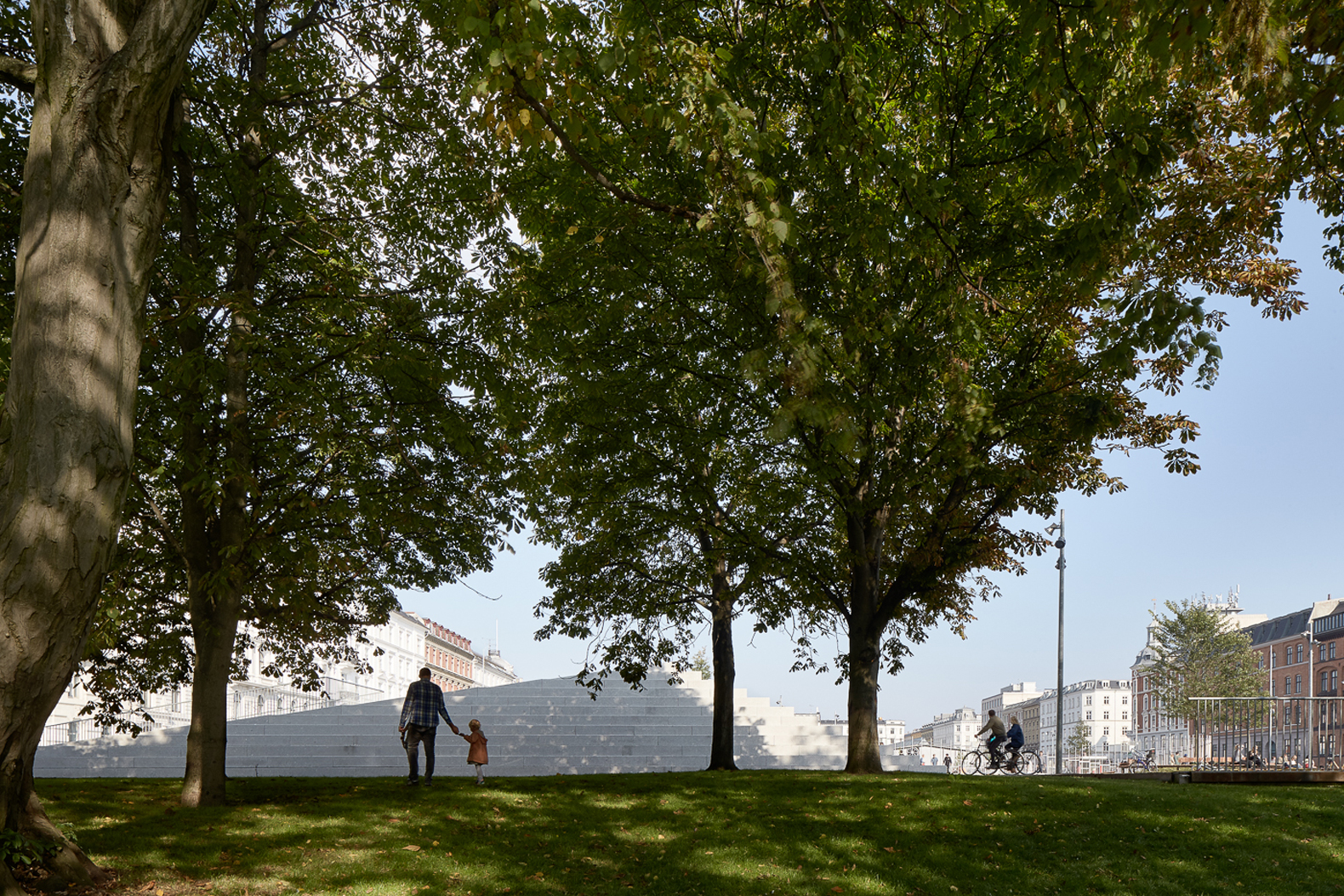 A park with trees
