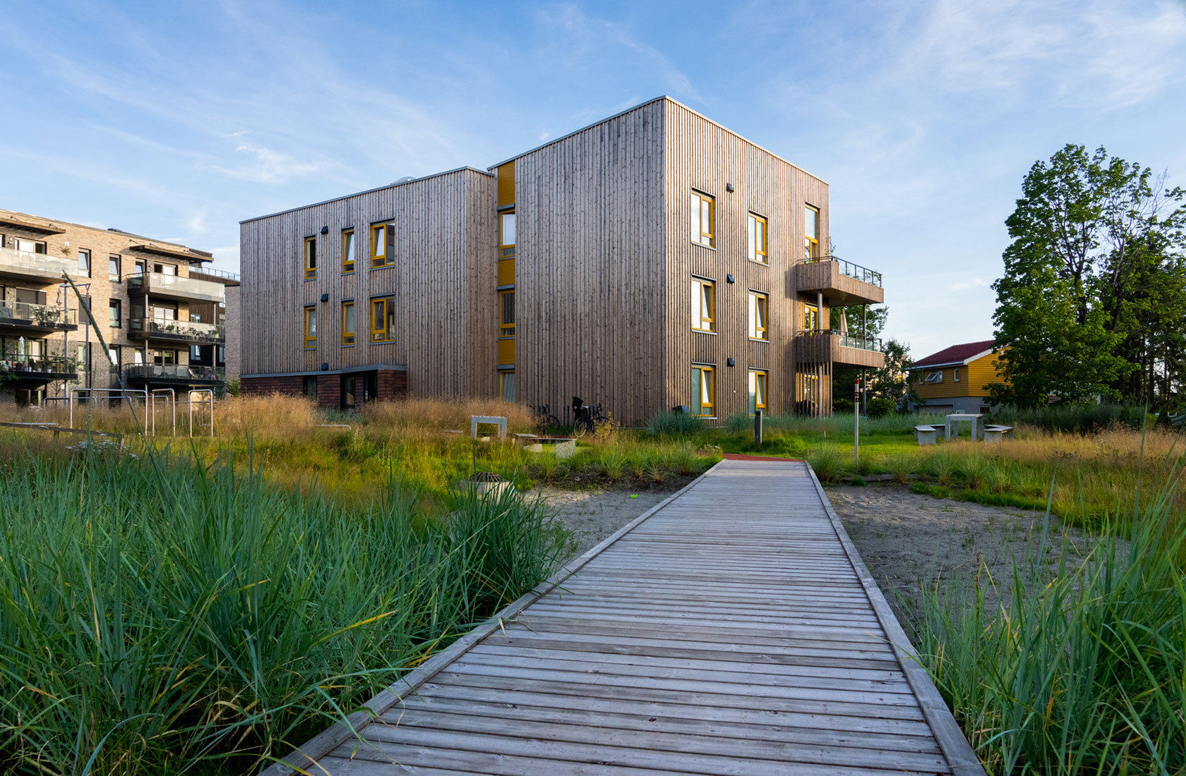 Wooden path with high grass on both sides leading to residential buildings in wood.