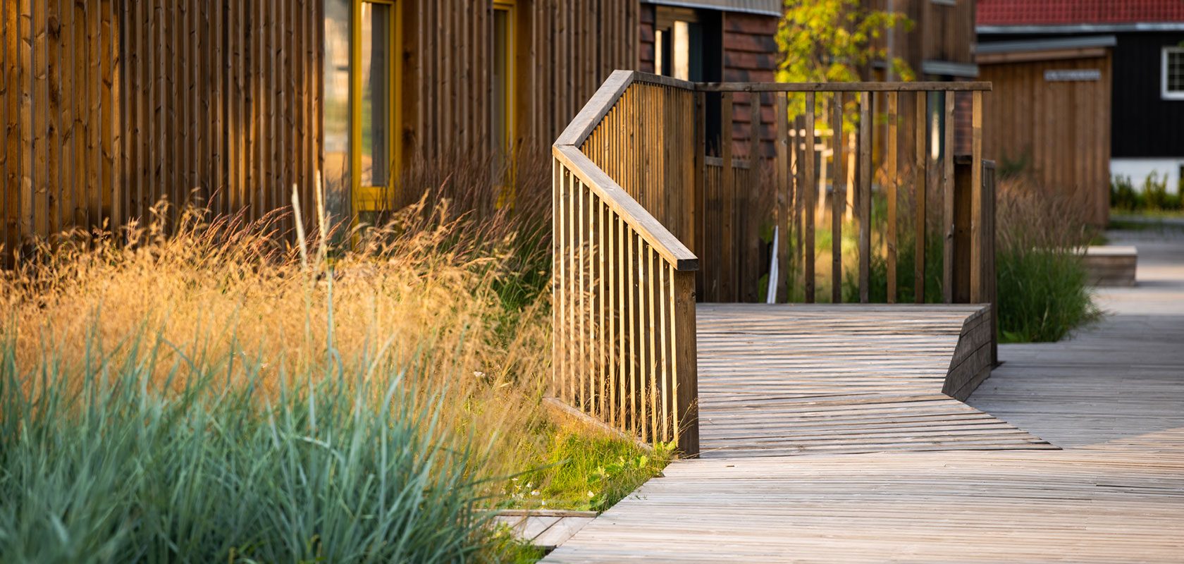 Wooden path with high grass on the side leading to a building of wood.
