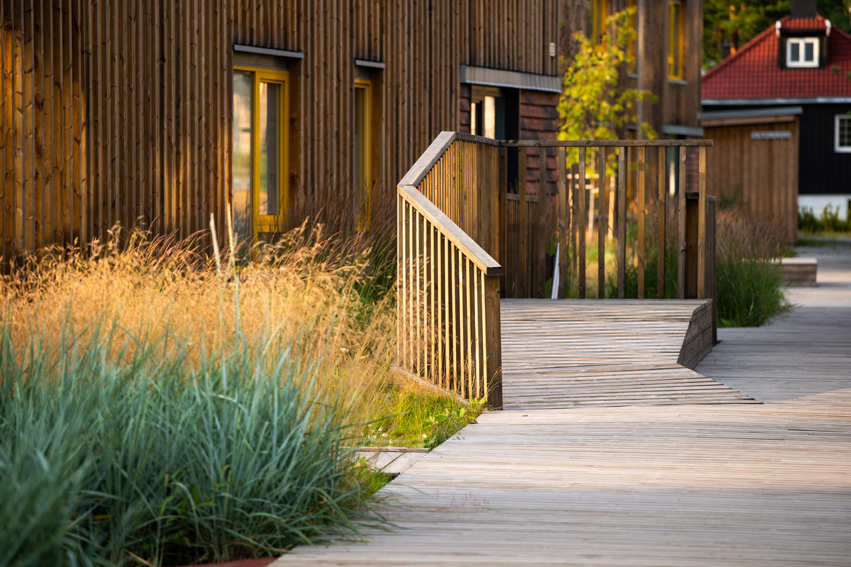Wooden path with high grass on the side leading to a building of wood.