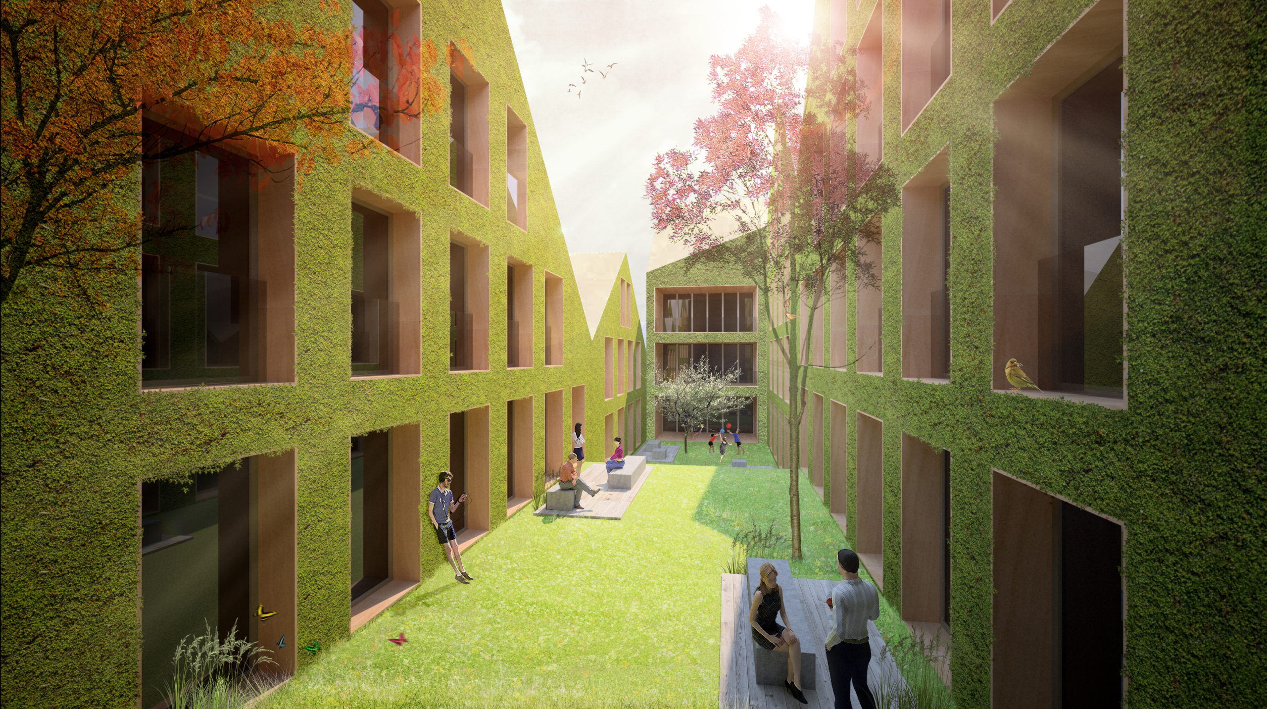 Eberhard Street urban environment visualisation