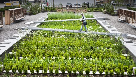 Woman walking in The Physic Garden at Novartis