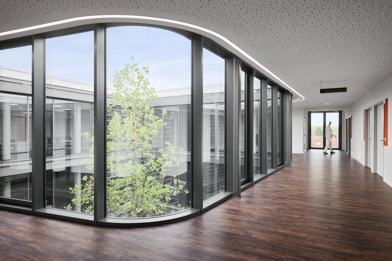 Interiors of a new clinic for Psychiatry windows and a tree