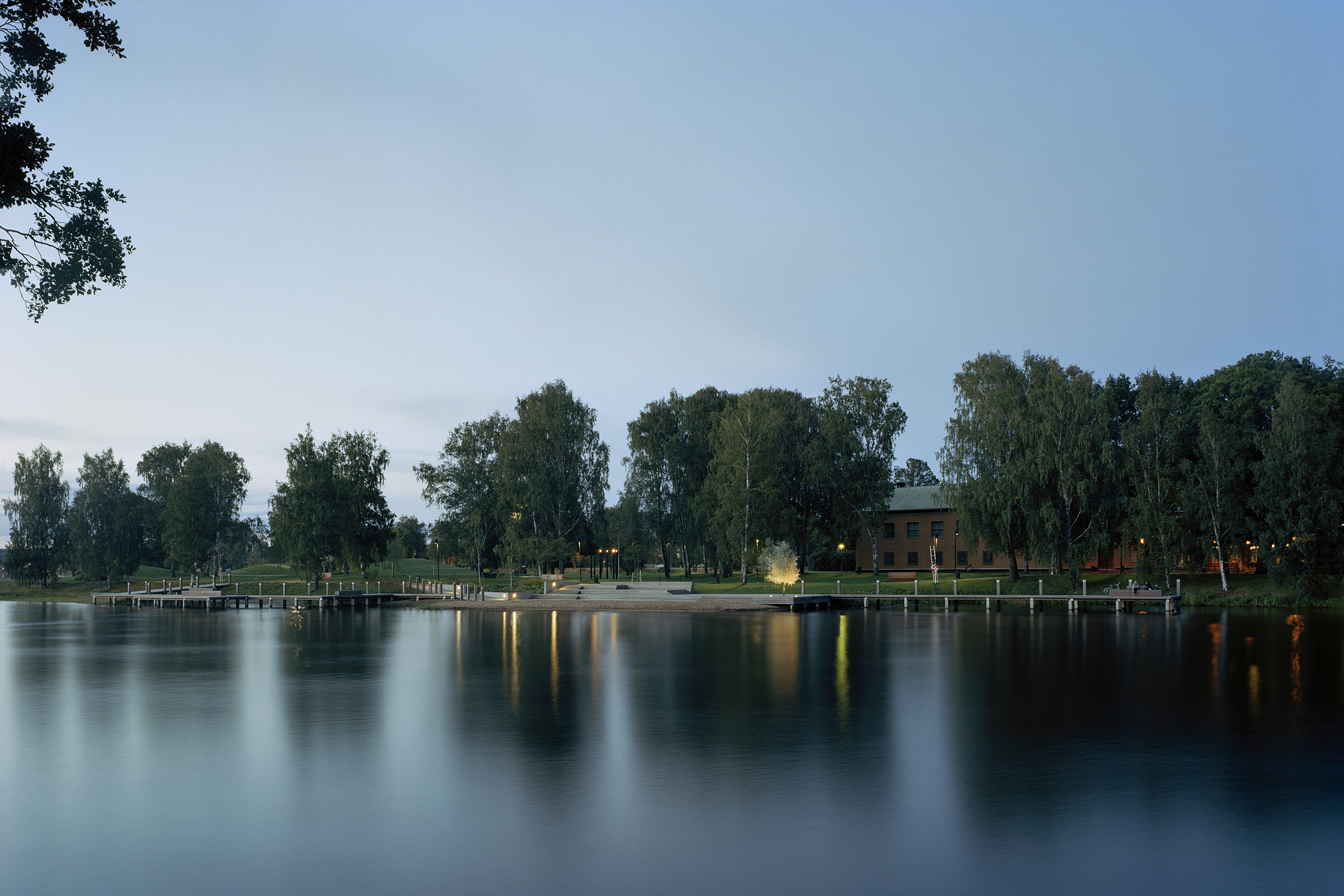 water, trees in a park by night