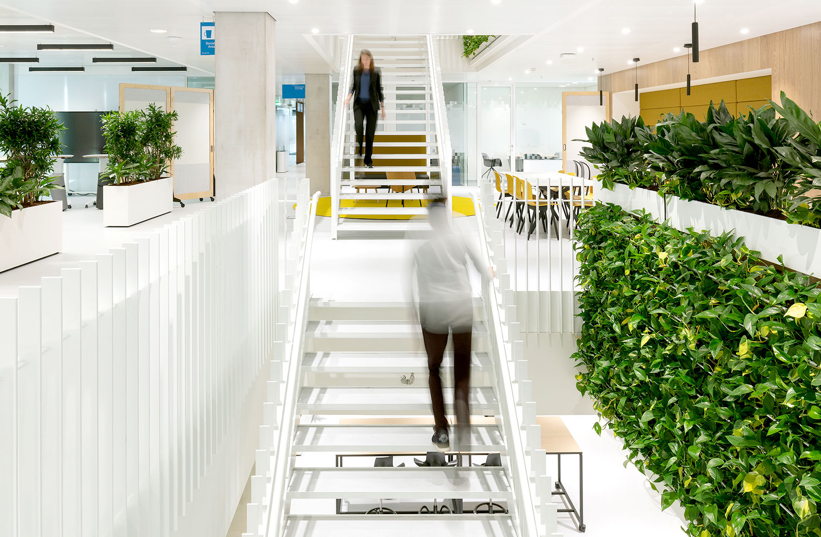 Two peole walking in the stairsof of an office building with a green wall on the right side.