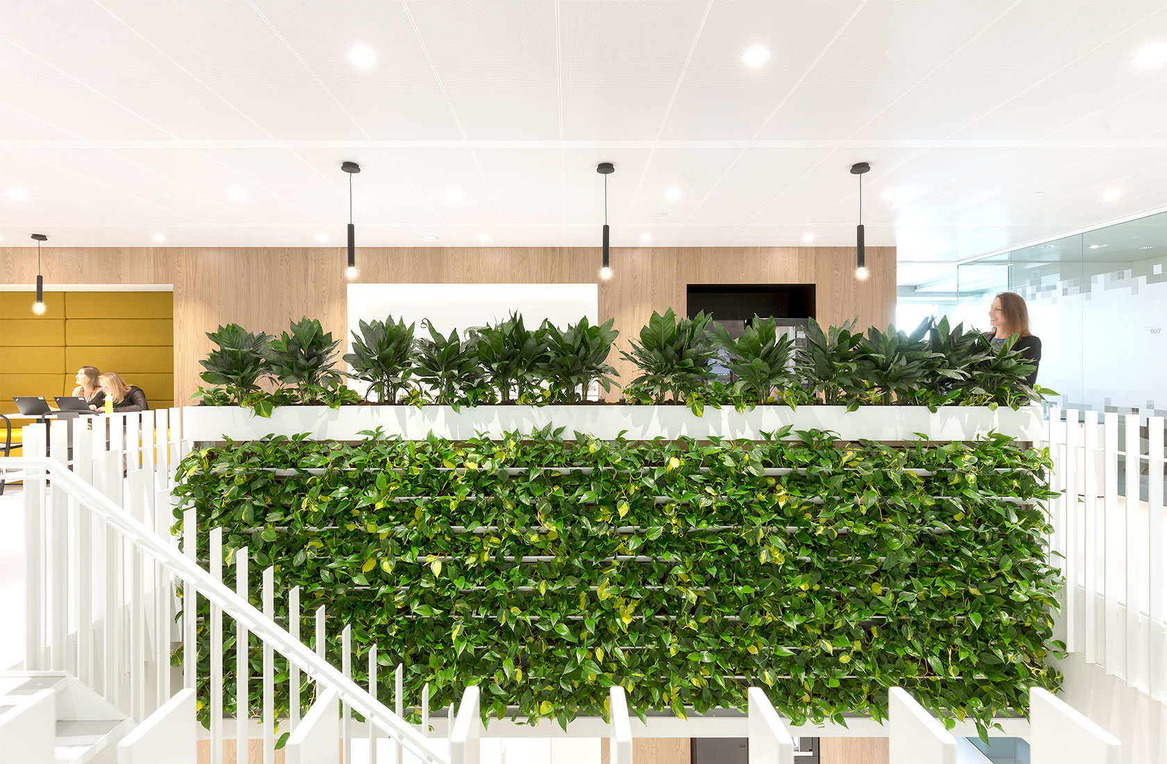 Stair railing in white inside an office with a part of the railing covered with greenery.