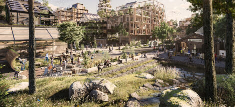 The regenerative neighbourhood