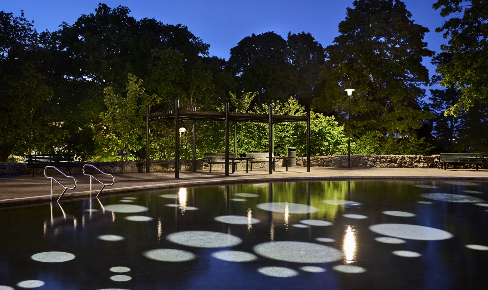 Close-up of a pond that is illuminated with a circular pattern.