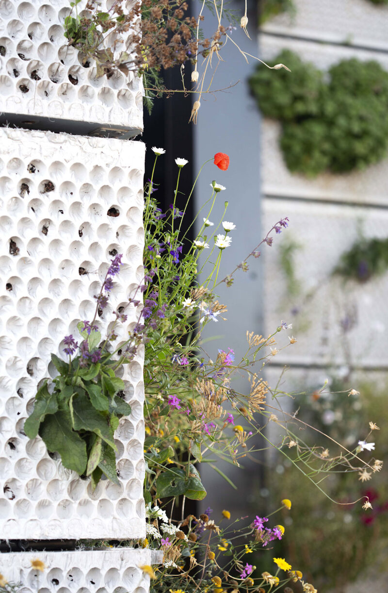 Close-up of a section of a white plant wall with flowers of different colors.