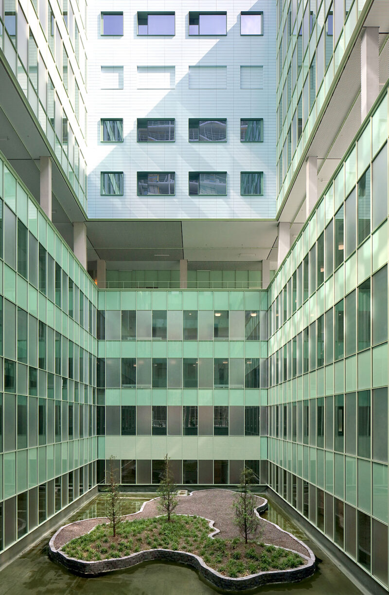 Courtyard of the hospital building with green glass sections and an organically shaped planting in the center.