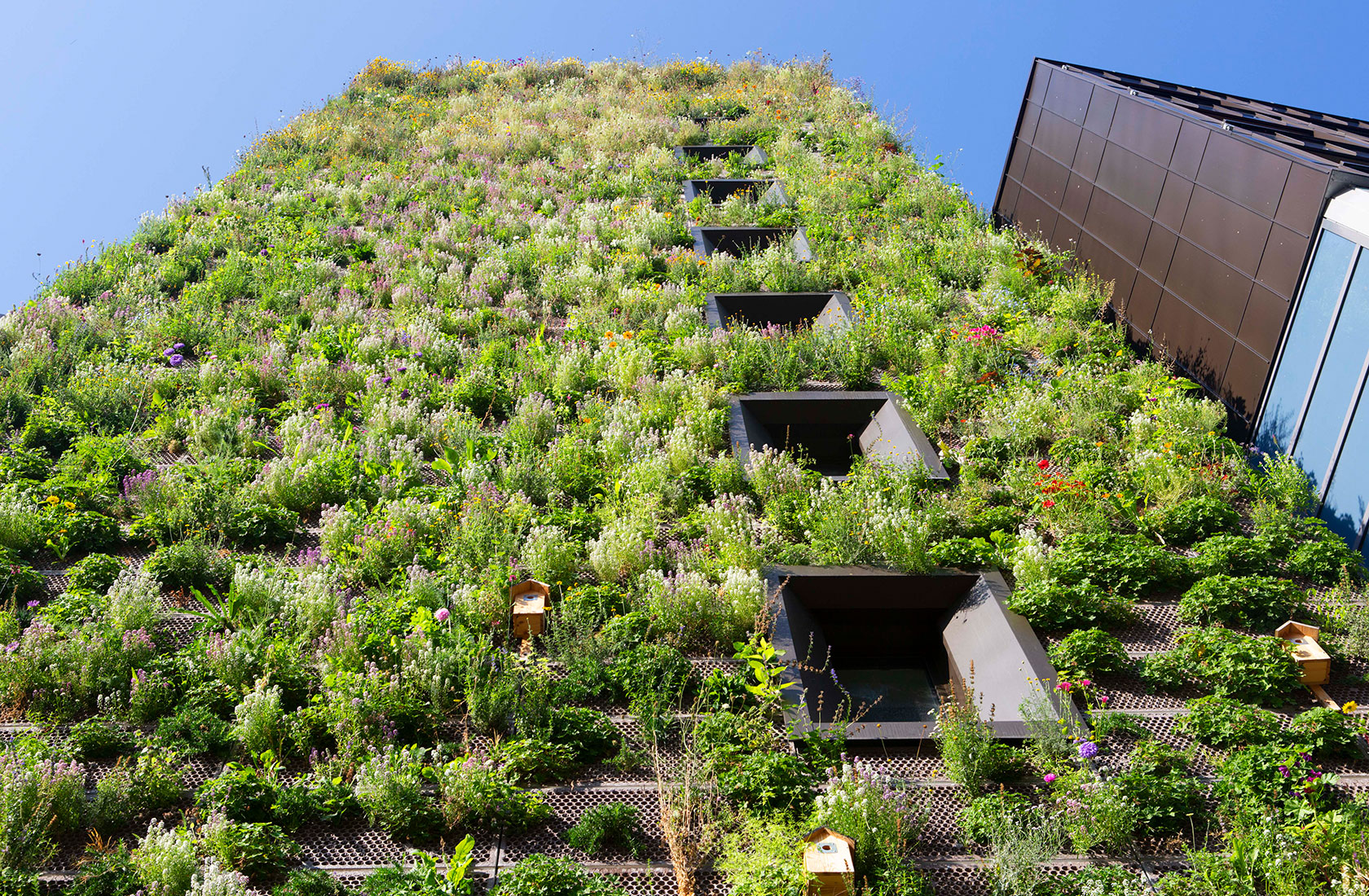 Close-up from the street looking up at a green facade that resembles a flower meadow.