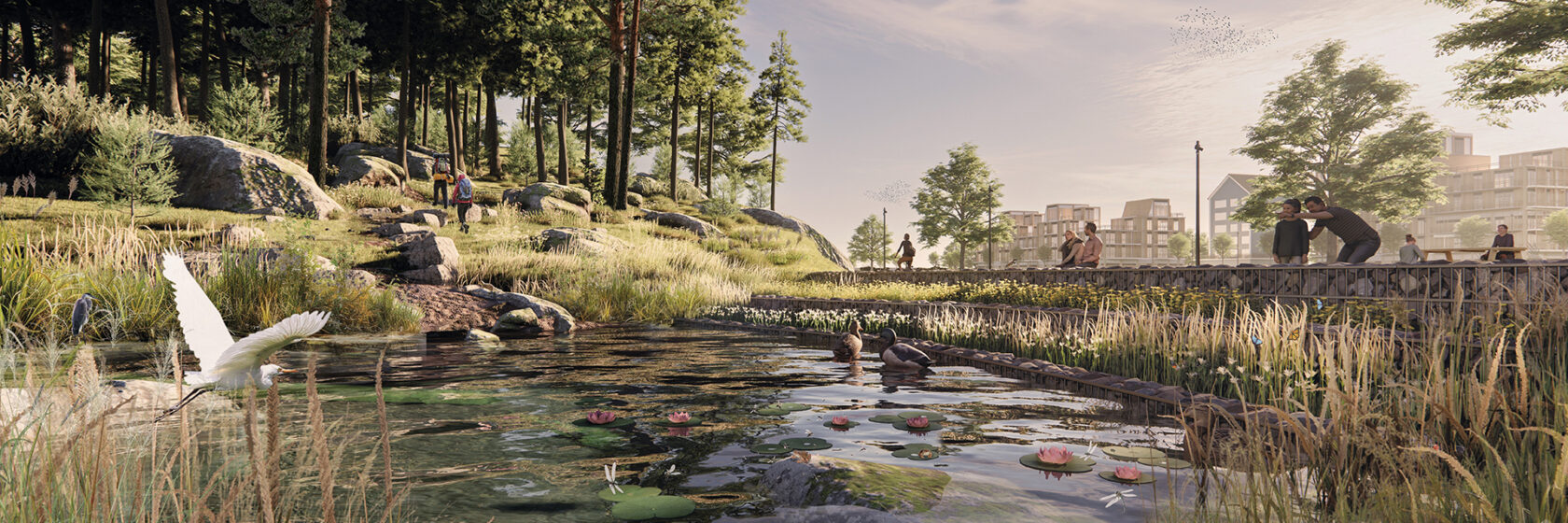 A nature positive neighbourhood
