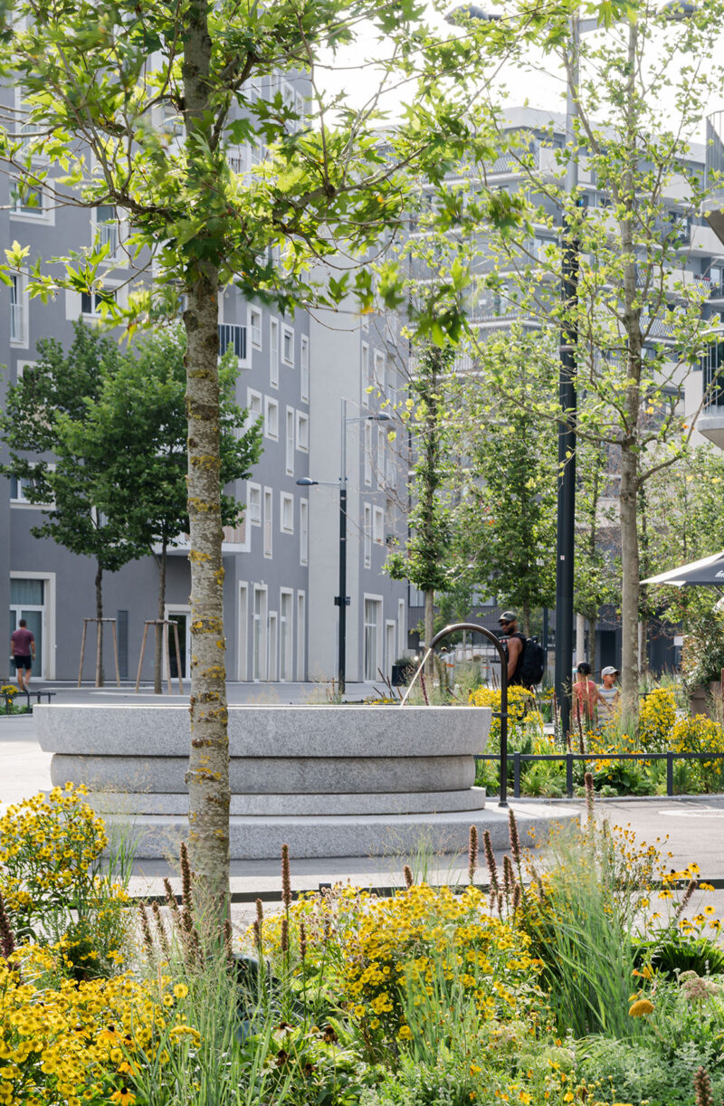Modern city park with trees, flowers, fountain, and gray buildings in background.