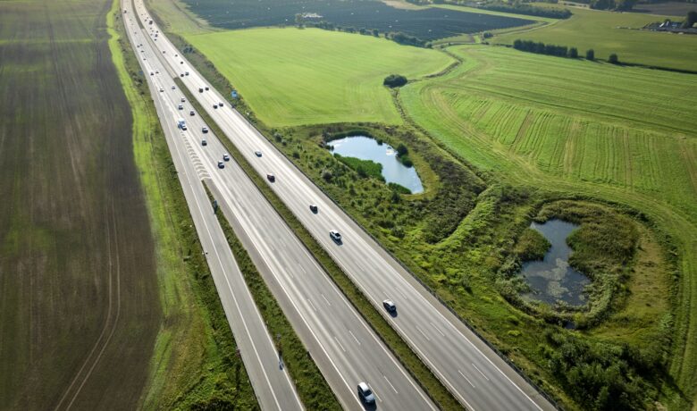 How AI is supporting biodiversity in a Danish project