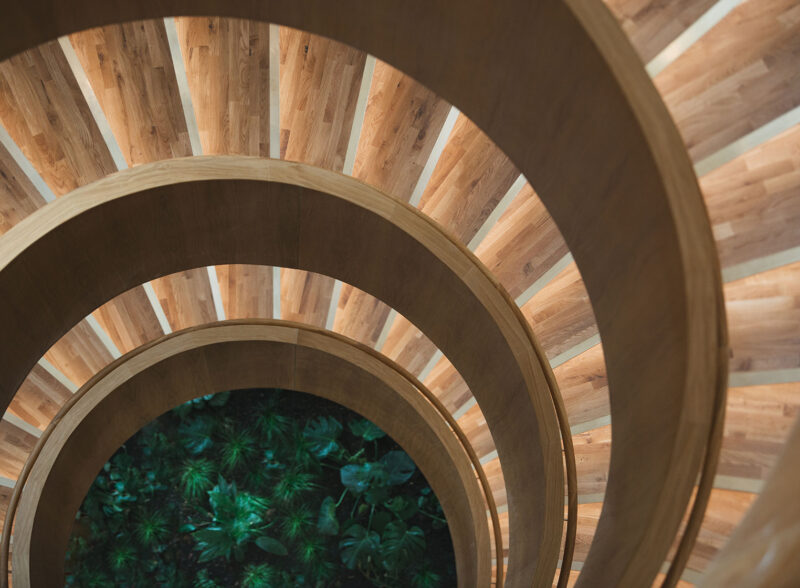 Spiral wooden staircase with warm lighting, leading down to green plants below.