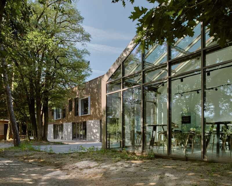 Modern glass pavilion and wood building in forest, contemporary architecture exterior