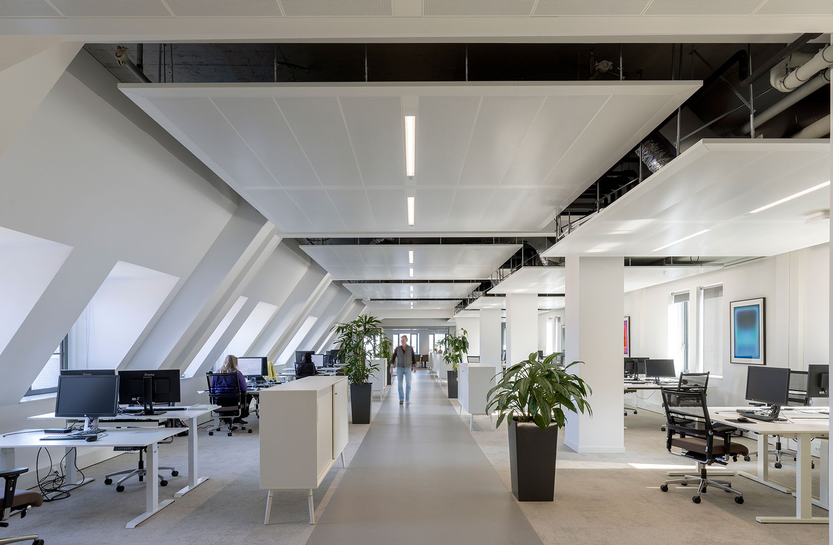 Modern open-plan office interior with desks, computers, and indoor plants