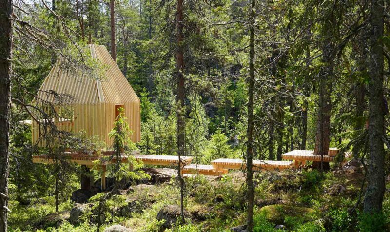 Vindskydd i trä i skogen