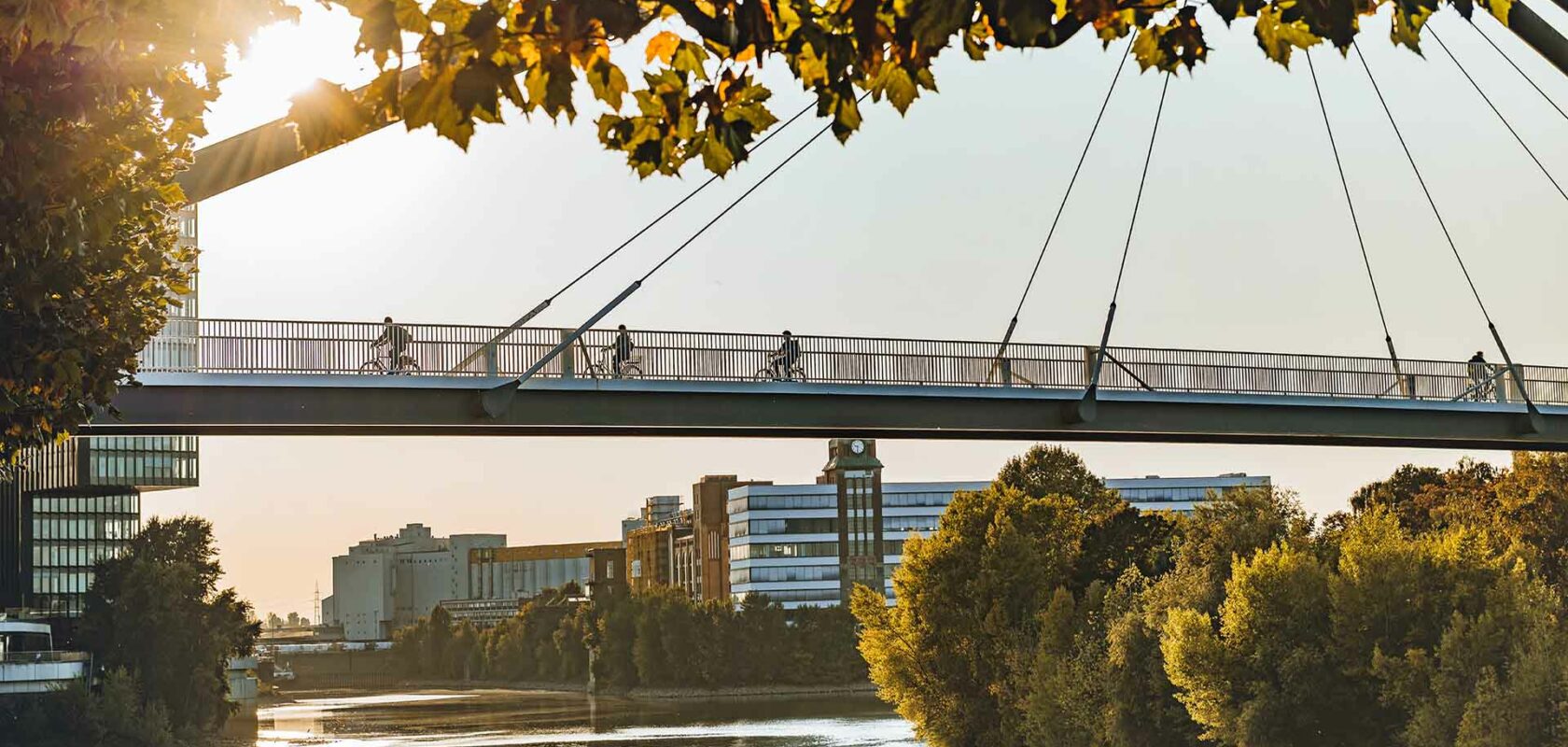 Brug met fietsers in gebied met water, gebouwen en veel groen in Düsseldorf, Duitsland