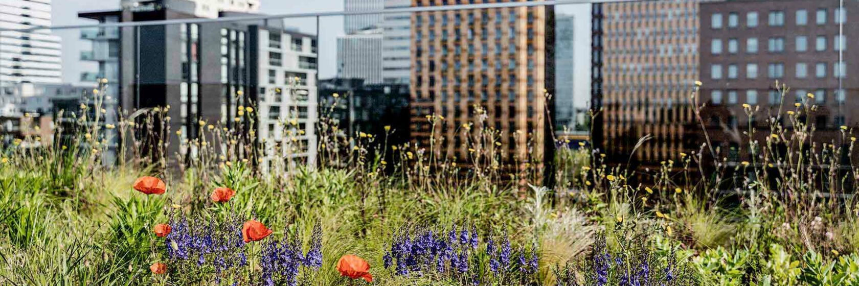 Sweco Groene Stad Challenge